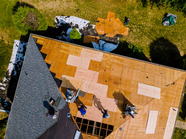 Best Roof Gutter Cleaning  in New Brockton, AL